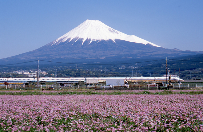 静岡県・富士山麓産の特産品の通販ならとれとれ富士山