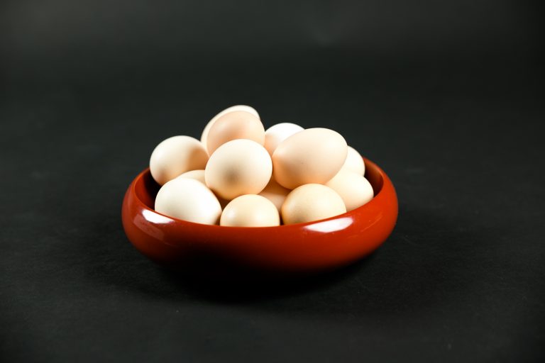 ikumi-sakura-001